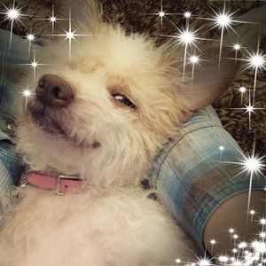 Meet your Posher, Cheryl